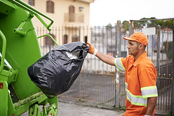 Yard Cleanup Services in Mount Rainier, MD